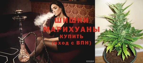 ГАЛЛЮЦИНОГЕННЫЕ ГРИБЫ Абинск