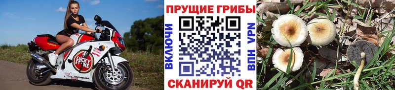 Галлюциногенные грибы GOLDEN TEACHER Кировград